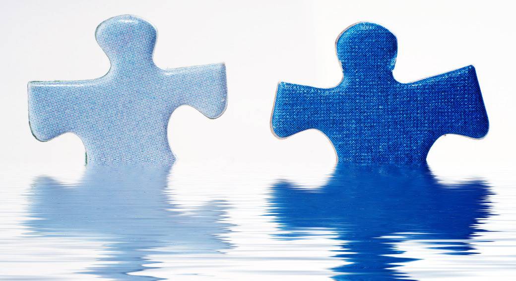 two puzzle pieces floating in water