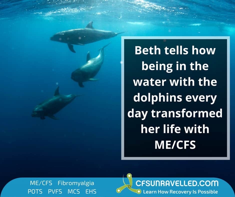 dolphins that Beth French swam with during ME/CFS recovery