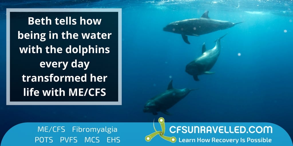 dolphins that Beth French swam with during ME/CFS recovery