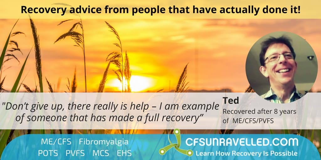 Teds PVFS recovery quote in front of sunset