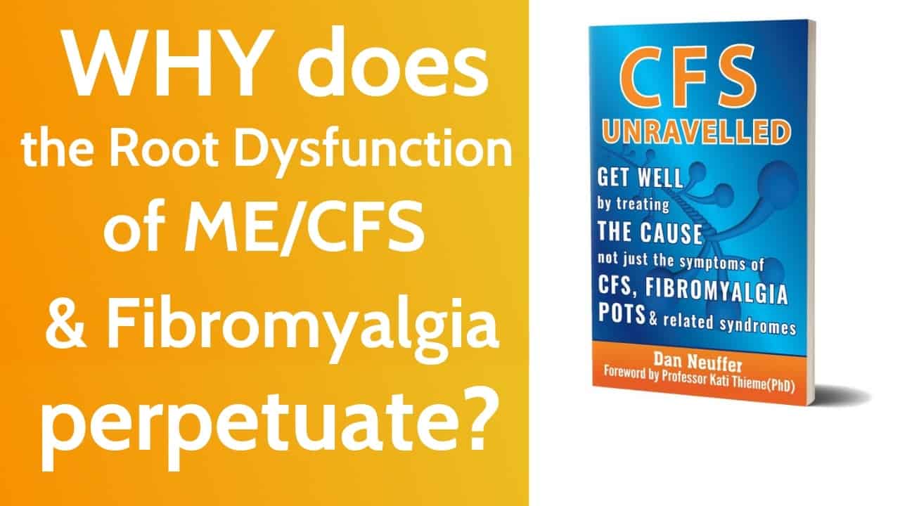Why does ME/CFS/Fibromyalgia POTS perpetuate?