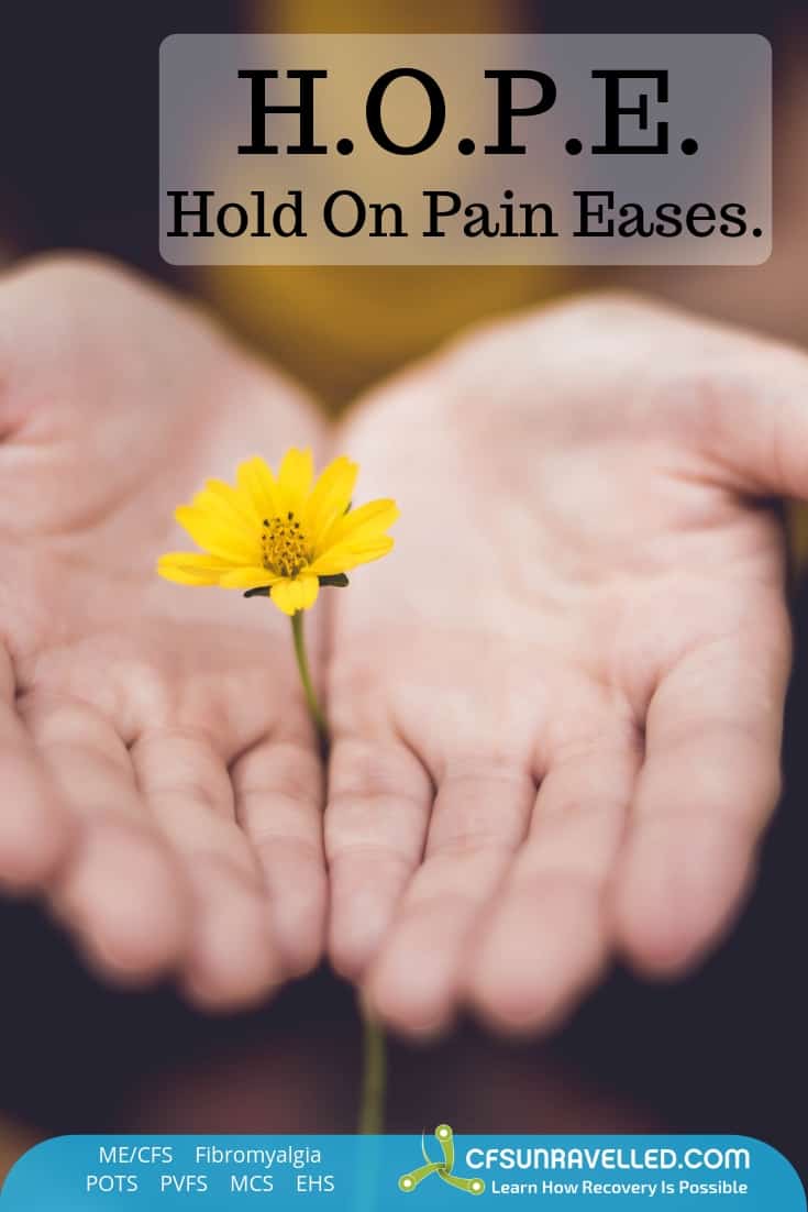 Flower between both hands symbolizing hope